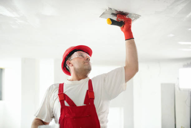 Best Eco-Friendly and Low-VOC Painting  in Brentwood, PA